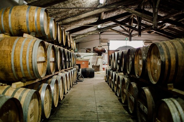 What are the precise steps for starting a UK-based craft gin distillery and obtaining necessary licenses?